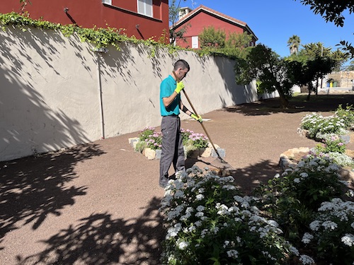 Mantenimiento de jardines en Gran Canaria