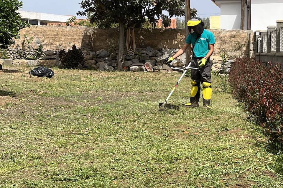 Limpieza y mantenimiento en Gran Canaria | SM Servicios Mantenimiento de jardines en Las Palmas | SM Servicios
