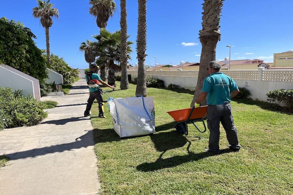 Limpieza de jardines en Las Palmas